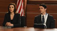 The Good Wife